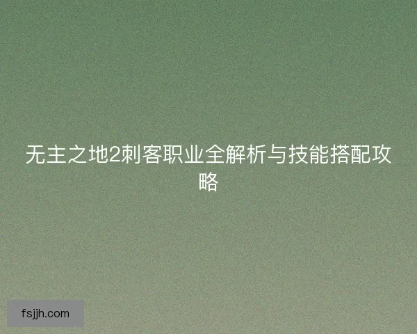 无主之地2刺客职业全解析与技能搭配攻略